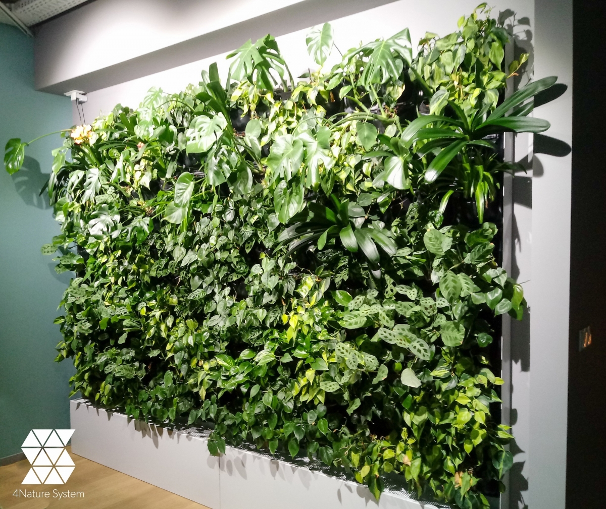 ielone-sciany-z-zywych-roslin-w-firmie-vodeno-1