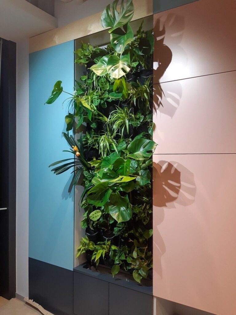 ielone-sciany-z-zywych-roslin-w-firmie-vodeno-1