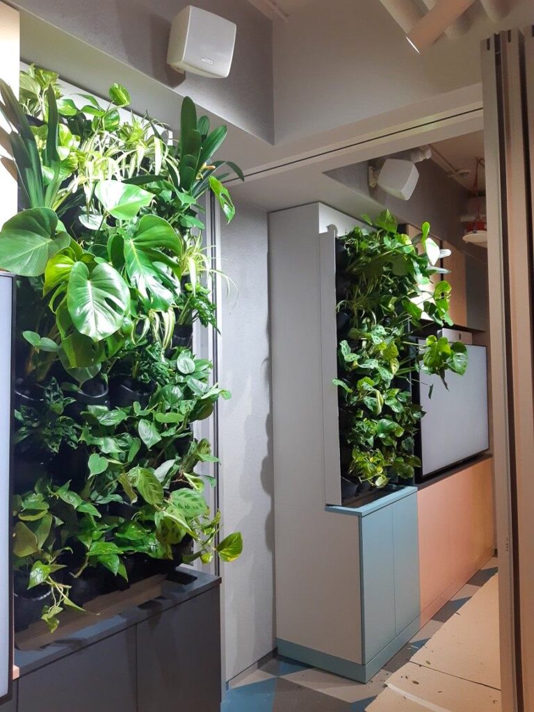 ielone-sciany-z-zywych-roslin-w-firmie-vodeno-1