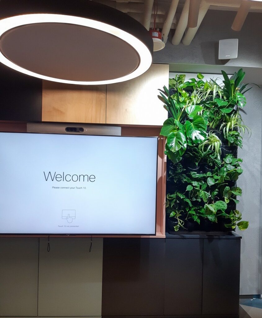 ielone-sciany-z-zywych-roslin-w-firmie-vodeno-1