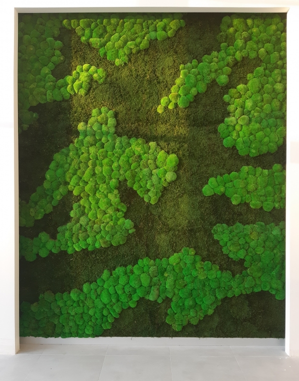 Mech na ścianie w Euro Styl - Gdańsk