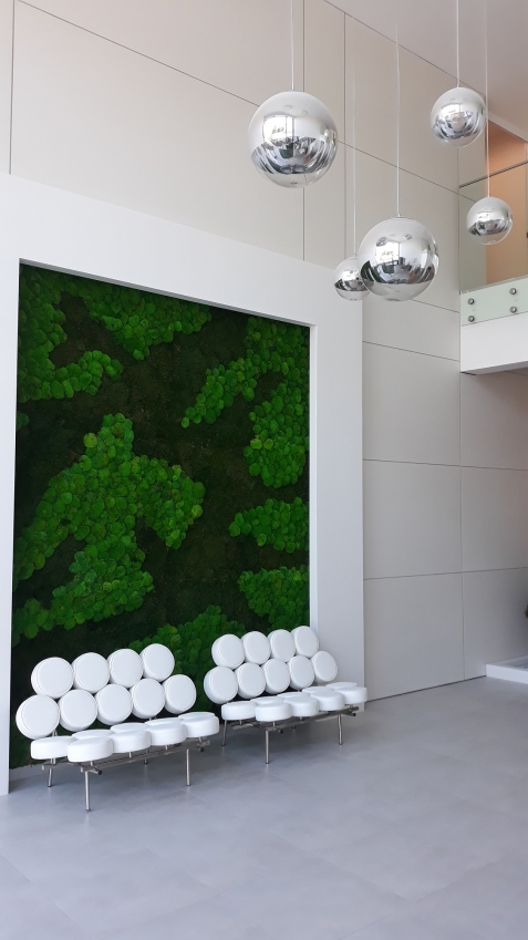 Mech na ścianie w Euro Styl - Gdańsk