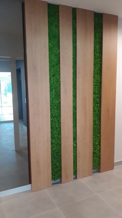 Mech na ścianie w Euro Styl - Gdańsk