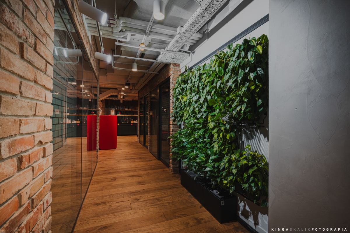 Ogród wertykalny 4Nature Wall oraz 4Nature Vitis