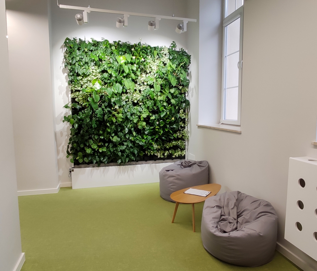 Ogród wertykalny w najstarszym warszawskim liceum