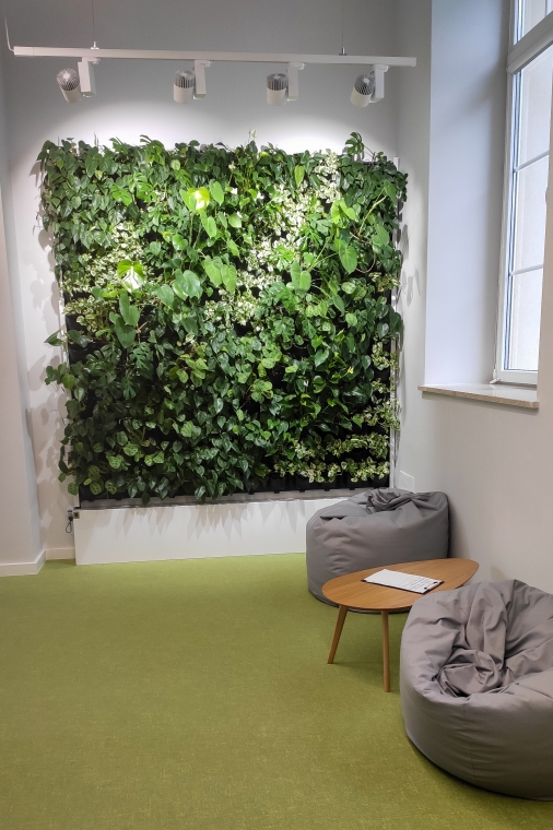 Ogród wertykalny w najstarszym warszawskim liceum