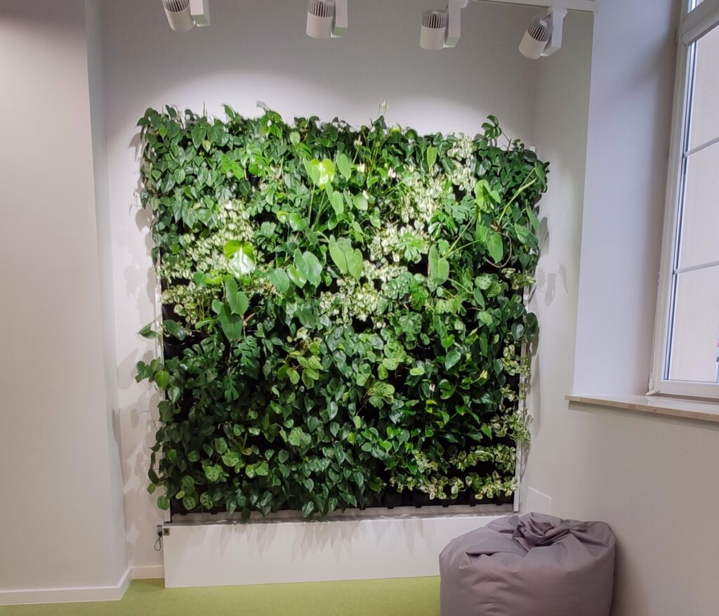 Ogród wertykalny w najstarszym warszawskim liceum