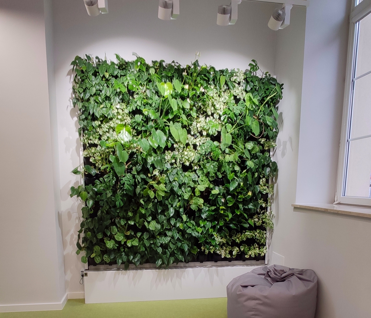 Ogród wertykalny w najstarszym warszawskim liceum