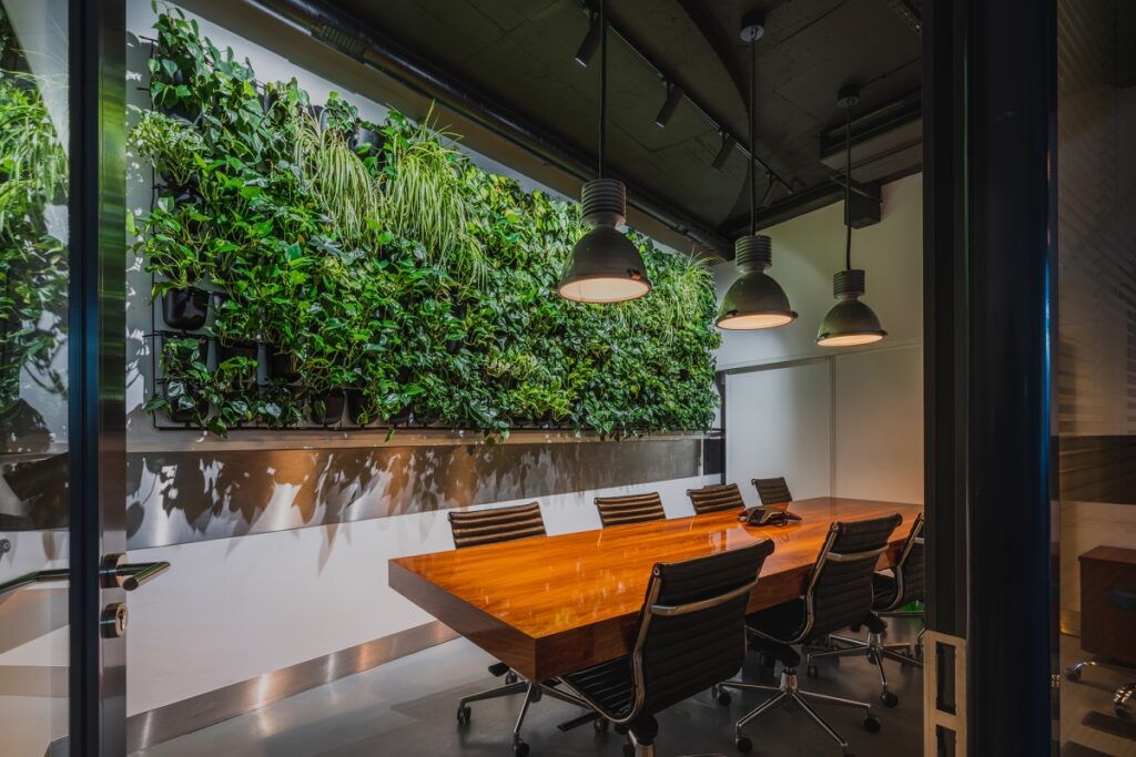 Pionowy ogród 4Nature Vitis