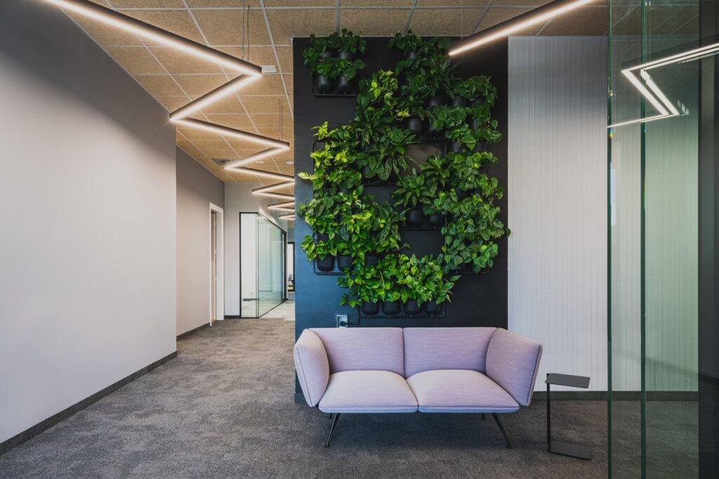 Pionowy ogród 4Nature Vitis