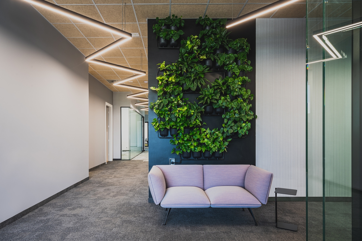 Pionowy ogród 4Nature Vitis