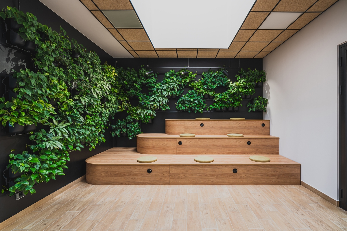 Pionowy ogród 4Nature Vitis