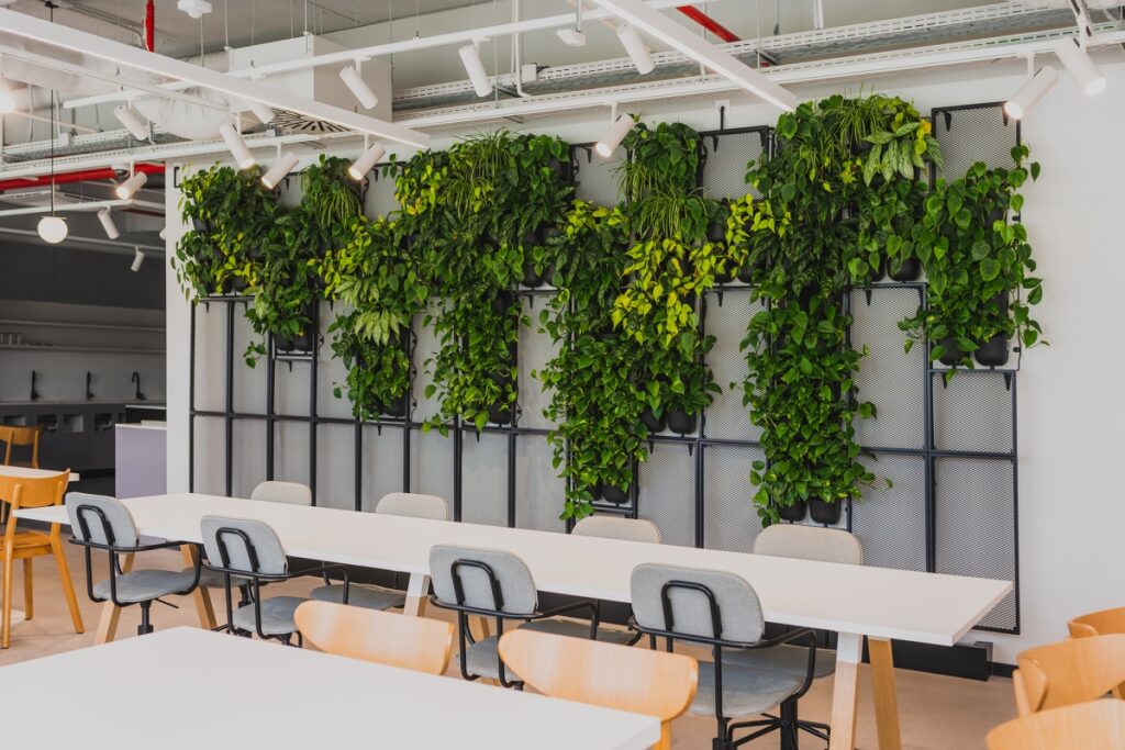 Pionowy ogród 4Nature Vitis