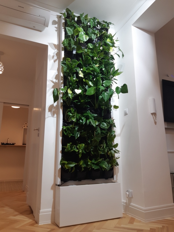 Podłużna zielona ściana w warszawskim biurze deweloperskim