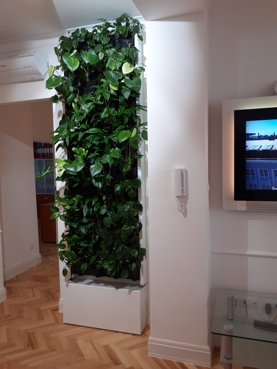 Podłużna zielona ściana w warszawskim biurze deweloperskim