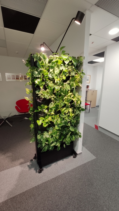 Ścianki z roślin w kancelarii Peter Nielsen & Partners Law Office