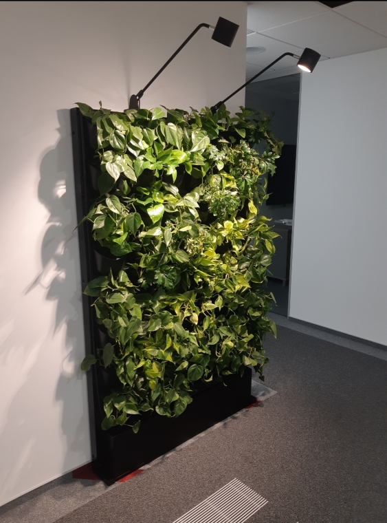 Ścianki z roślin w kancelarii Peter Nielsen & Partners Law Office