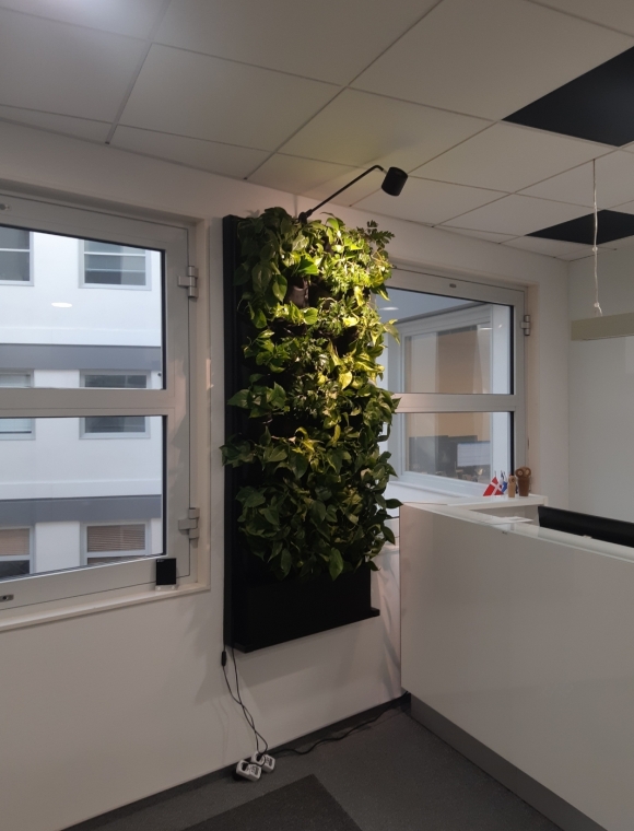 Ścianki z roślin w kancelarii Peter Nielsen & Partners Law Office