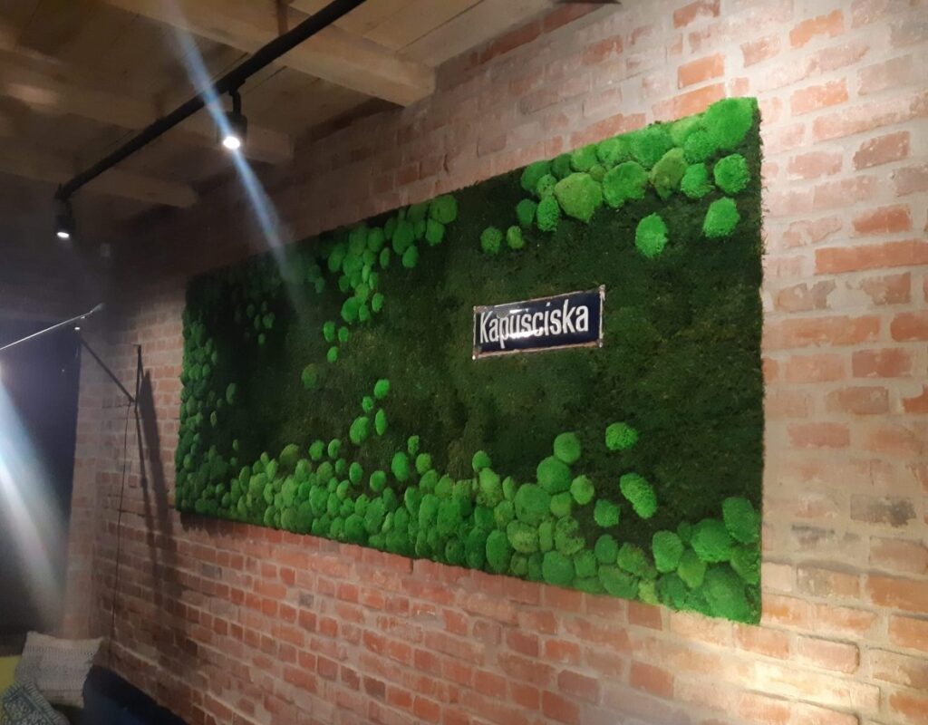 Ściana z dwóch rodzajów mchu leśnego