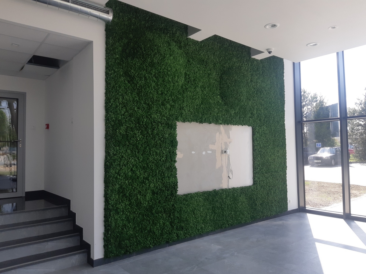 Ściana z mchu z elementami 3D