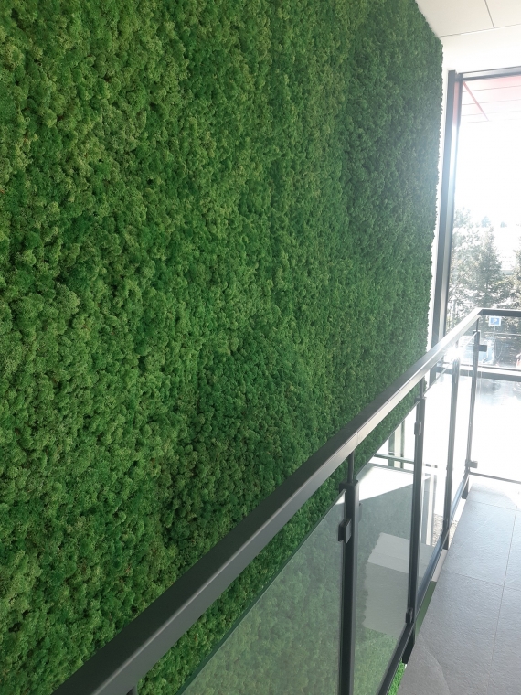 Ściana z mchu z elementami 3D