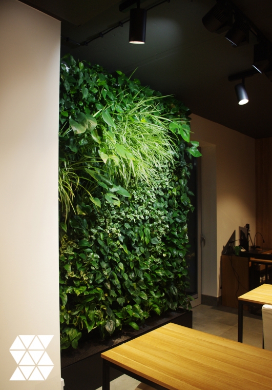 Ściana z żywych roślin w sali wykładowej