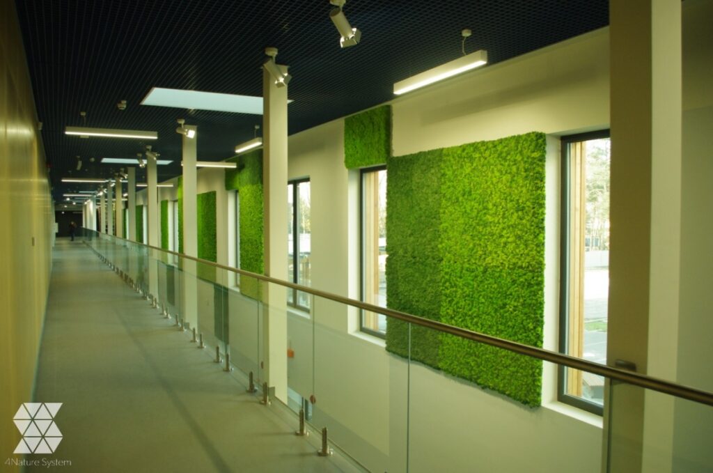 Ściany z mchu leśnego kępkowego, płaskiego i chrobotka