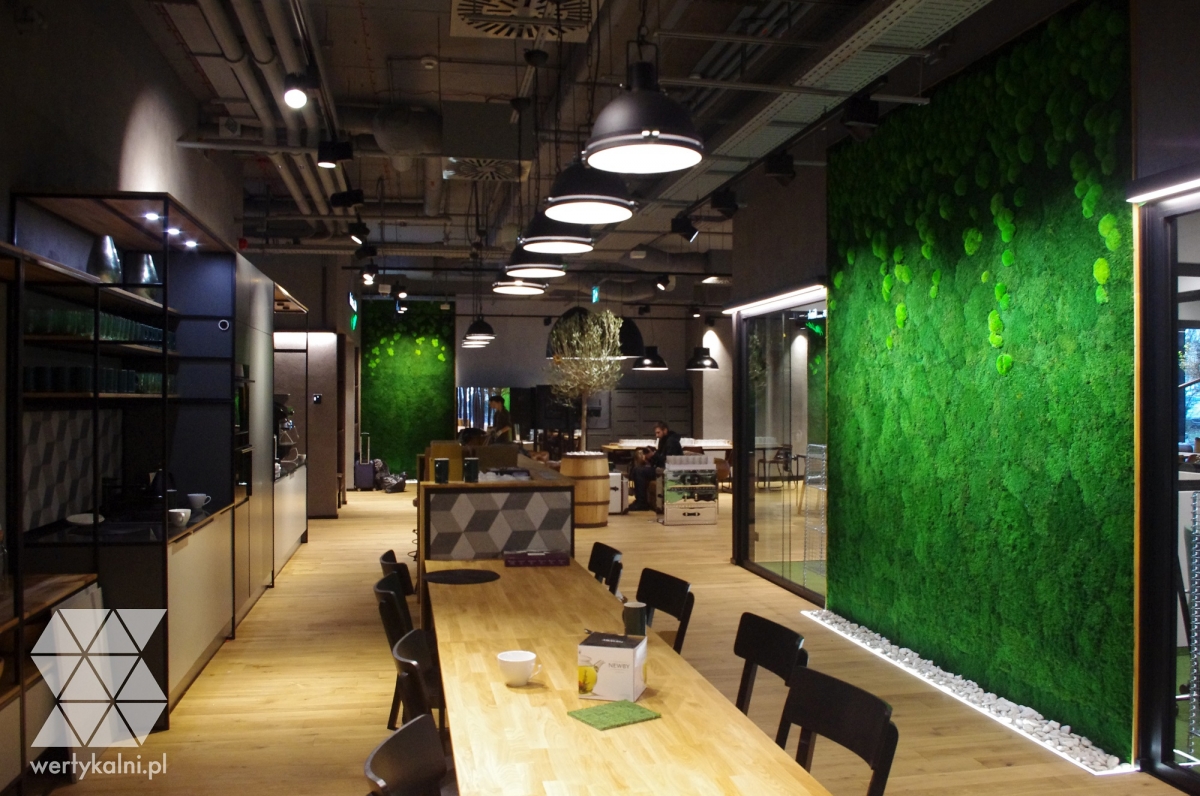 Ściany z mchu leśnego płaskiego oraz kępkowego w Business Link