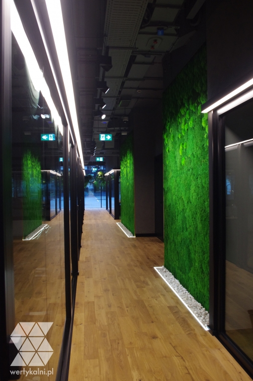 Ściany z mchu leśnego płaskiego oraz kępkowego w Business Link