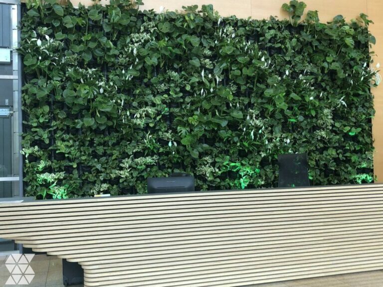 Ściany z roślin i mchu stabilizowanego w Tulipan House na Mokotowie