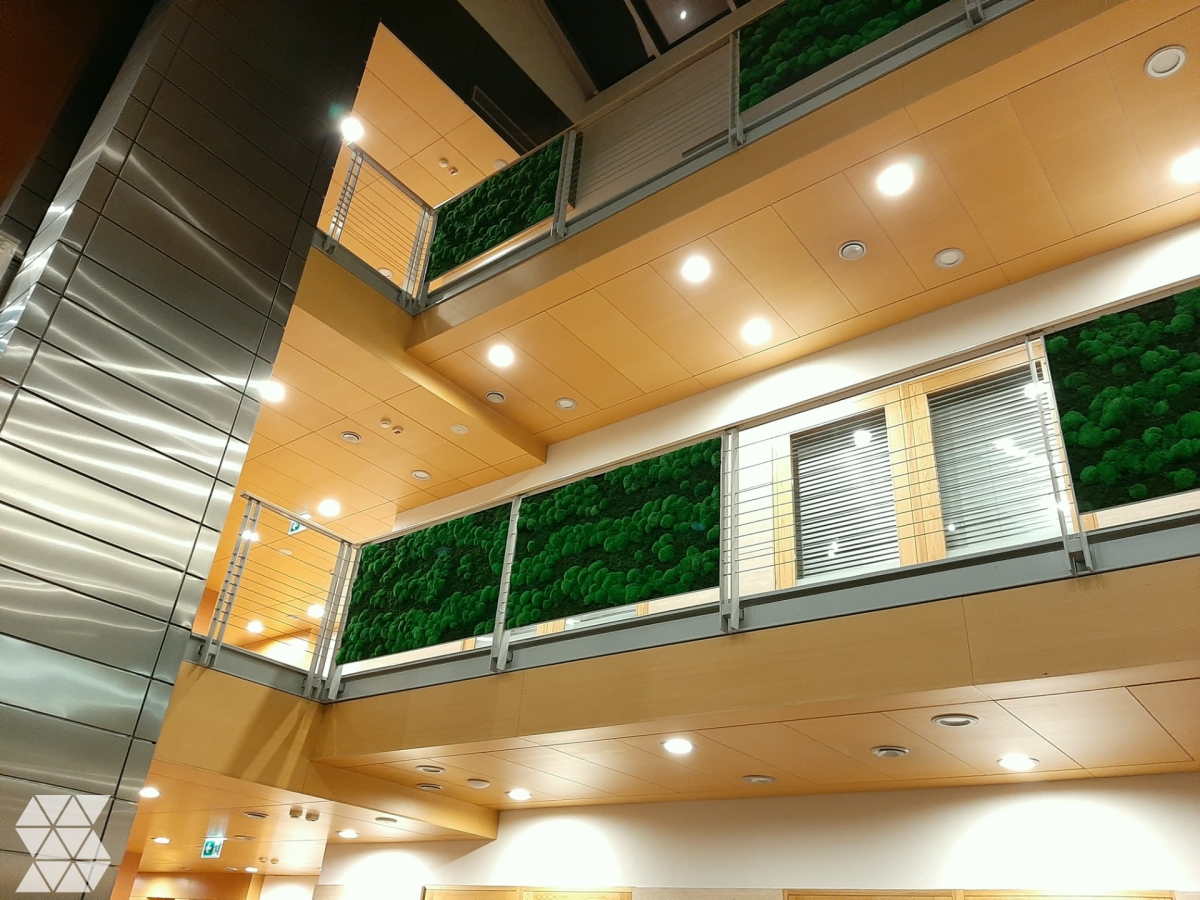 Ściany z roślin i mchu stabilizowanego w Tulipan House na Mokotowie