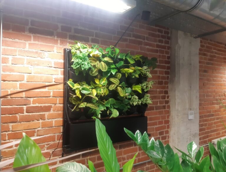 Ściany z roślin w wersji mobilnej i wiszącej w biurze Ansee