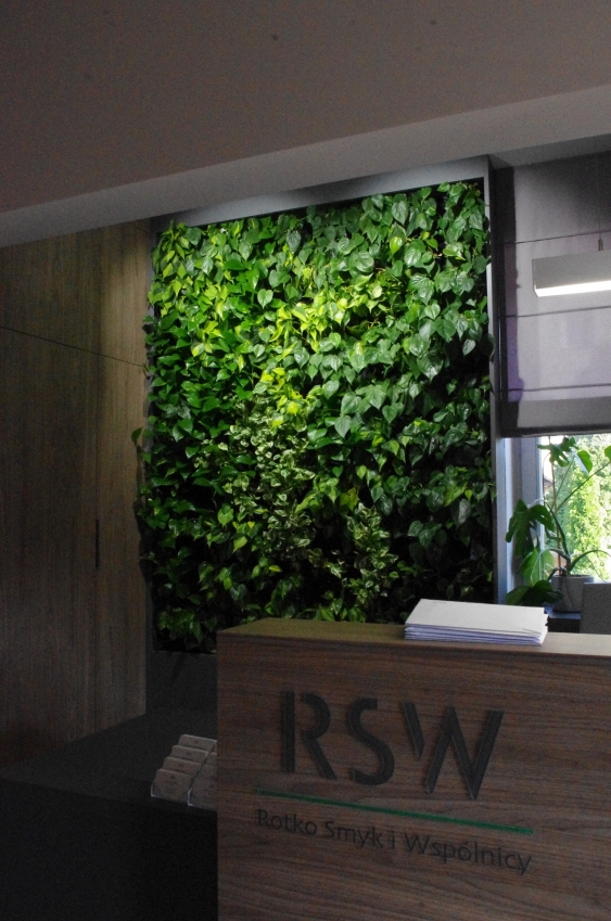 Wąska zielona ściana w warszawskiej kancelarii