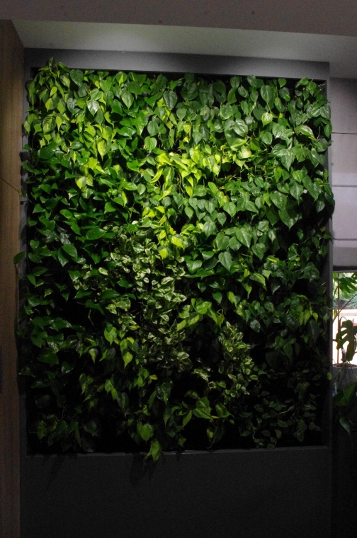 Wąska zielona ściana w warszawskiej kancelarii