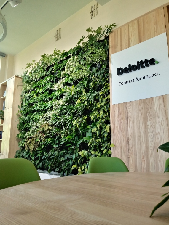 Wertykalny ogród w sali dydaktycznej SGH