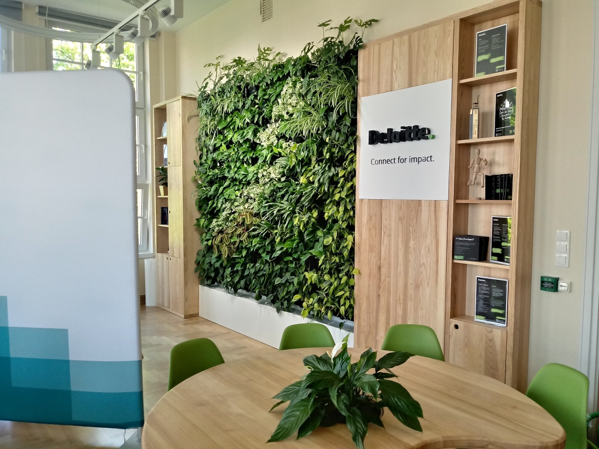 Wertykalny ogród w sali dydaktycznej SGH