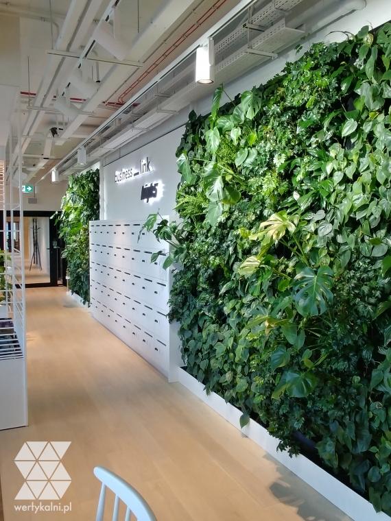 Zielona Ściana w części wspólnej Business link