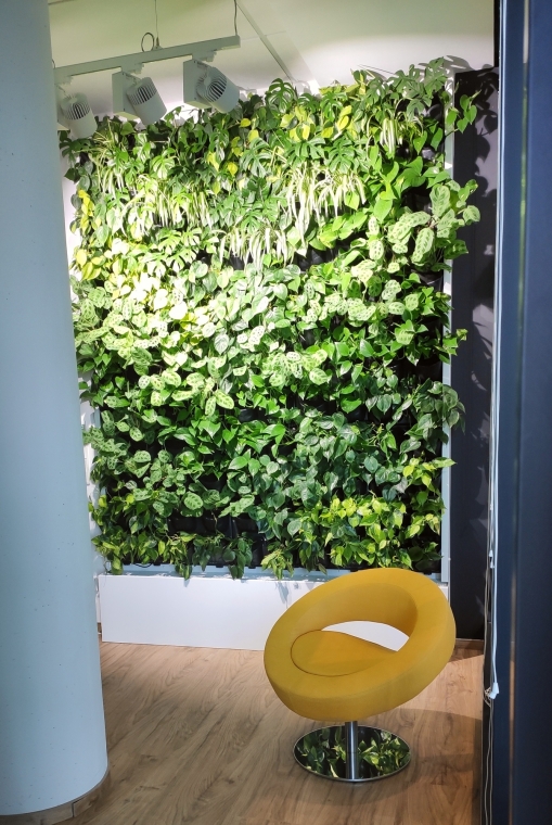 Zielona ściana w modelu subskrypcji i panel z mchu