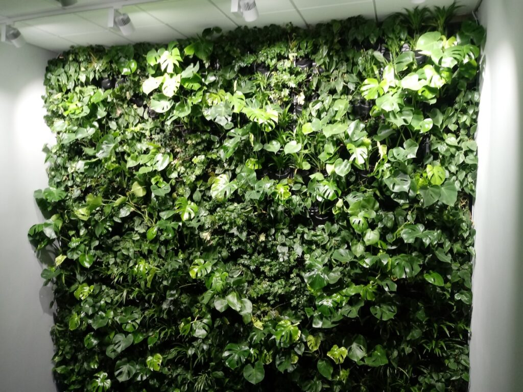 Zielona ściana w obiegu otwartym dla firmy Jeven