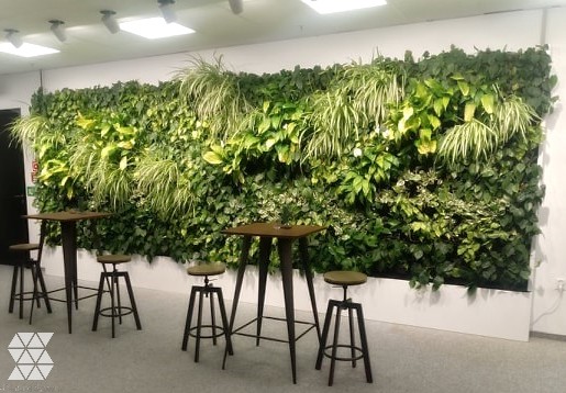 Zielona ściana w recepcji i strefie rekreacyjno-wypoczynkowej