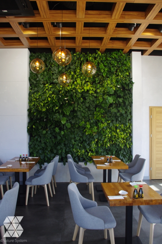 zielona-sciana-w-restauracji-kimi-sushi-1