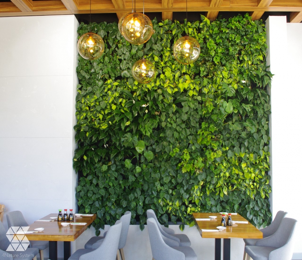 zielona-sciana-w-restauracji-kimi-sushi-1