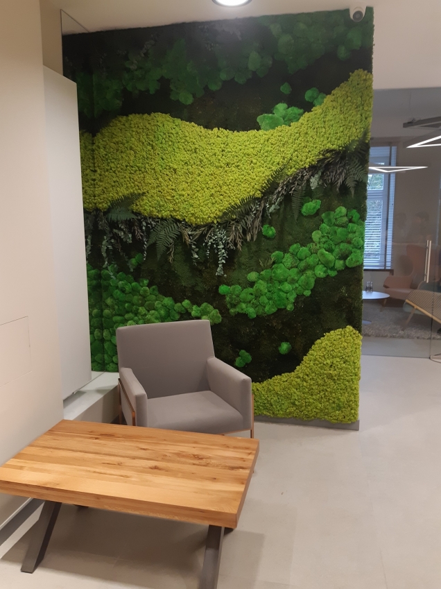 Zielona ściana z roślin stabilizowanych w kancelarii prawnej