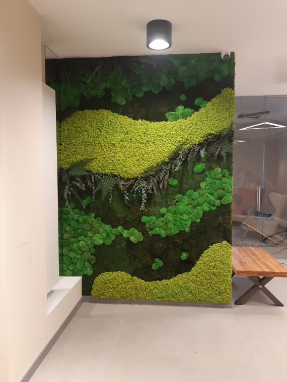 Zielona ściana z roślin stabilizowanych w kancelarii prawnej