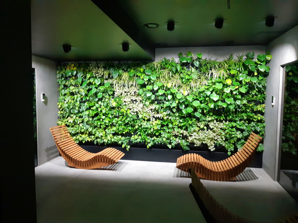 Zielona ściana z żywych roślin w luksusowym SPA Green Deer Premium