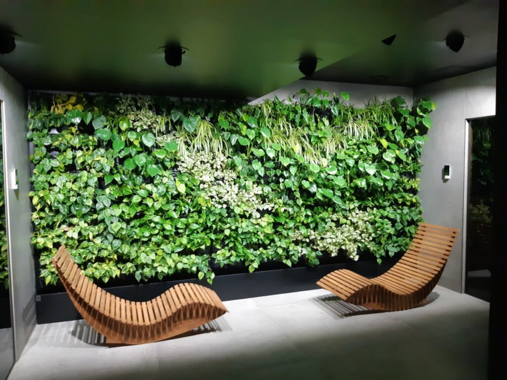 Zielona ściana z żywych roślin w luksusowym SPA Green Deer Premium