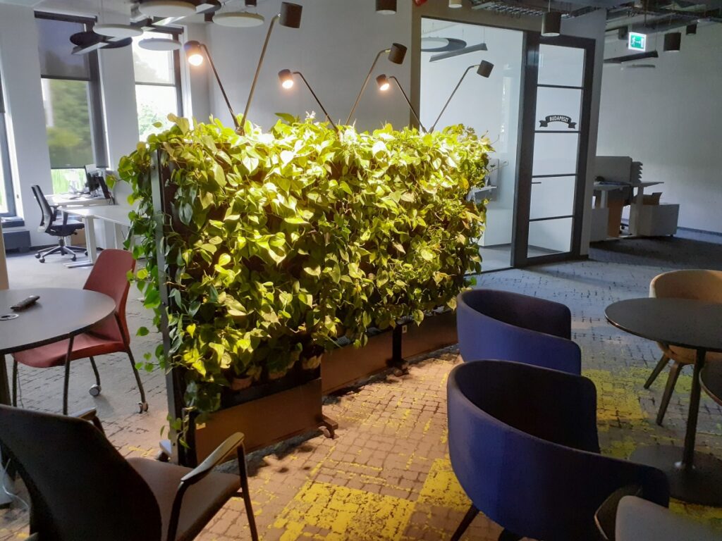 Zielone meble w biurze Arriva