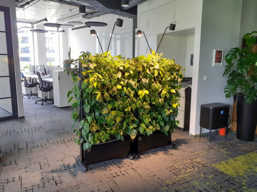 Zielone meble w biurze Arriva