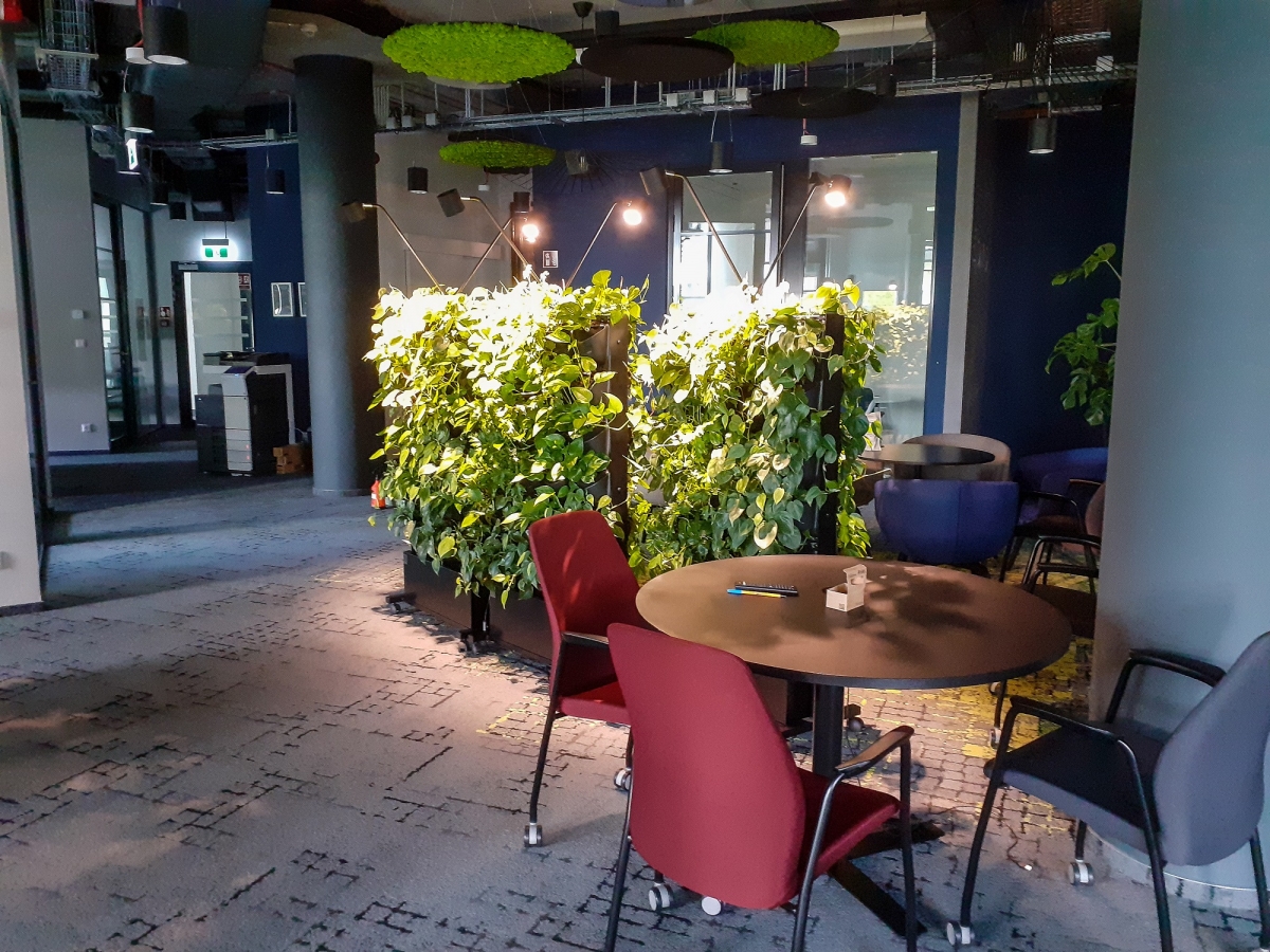 Zielone meble w biurze Arriva