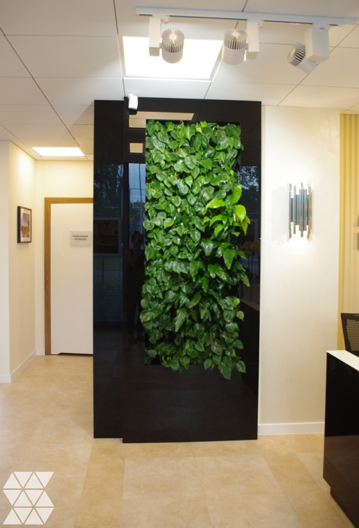 Zielone ściany - pnące rośliny w zabudowie regałowej